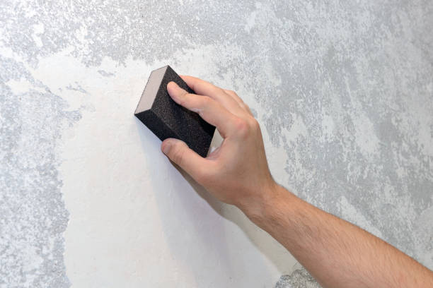 Best Mold Odor Removal Services  in Rio Rancho, NM