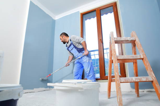 Trusted Rio Rancho, NM Mold Removal Experts