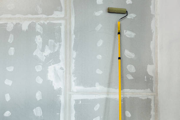 Best Mold Remediation for Vacation Homes  in Rio Rancho, NM