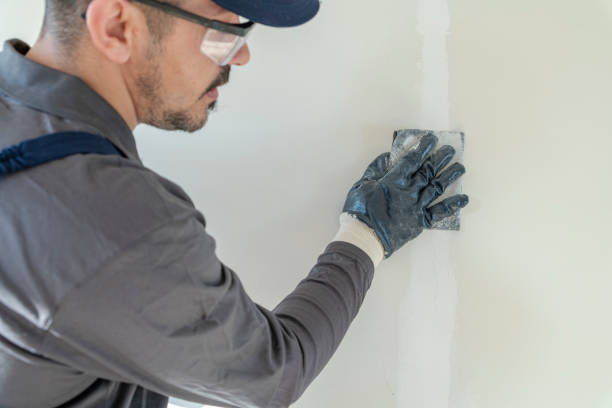  Rio Rancho, NM Mold Removal Pros