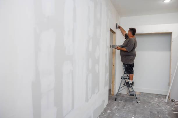 Environmental Consulting for Mold Prevention in Rio Rancho, NM