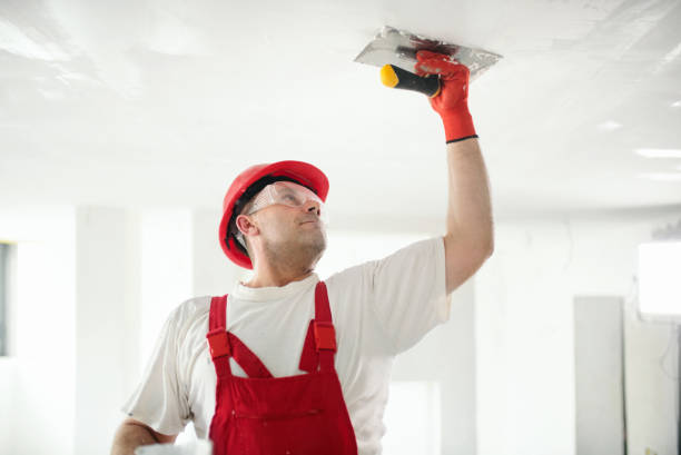 Best Mold Removal for HVAC Installations  in Rio Rancho, NM